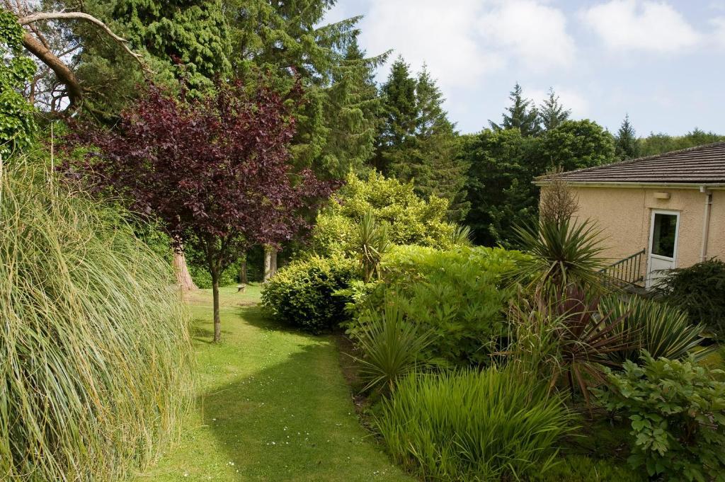 Cwmwennol Country House Saundersfoot Zewnętrze zdjęcie