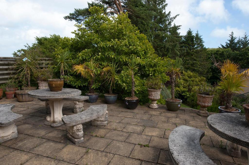 Cwmwennol Country House Saundersfoot Zewnętrze zdjęcie